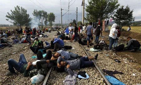 OIM: Más de 464.000 refugiados han cruzado el Mediterráneo este año